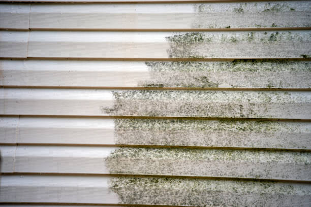 Best Custom Trim and Detailing for Siding  in Sutherlin, OR